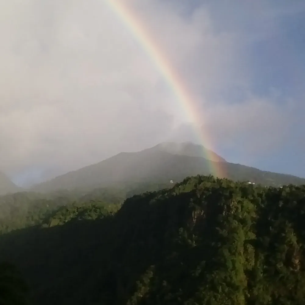 bettypf.bsky.social's profile picture