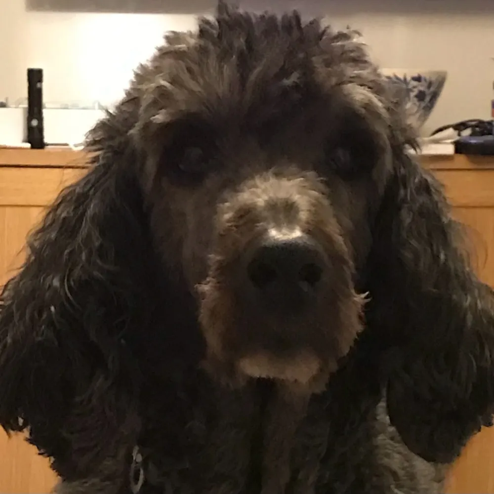 rewhatevering.bsky.social's profile picture