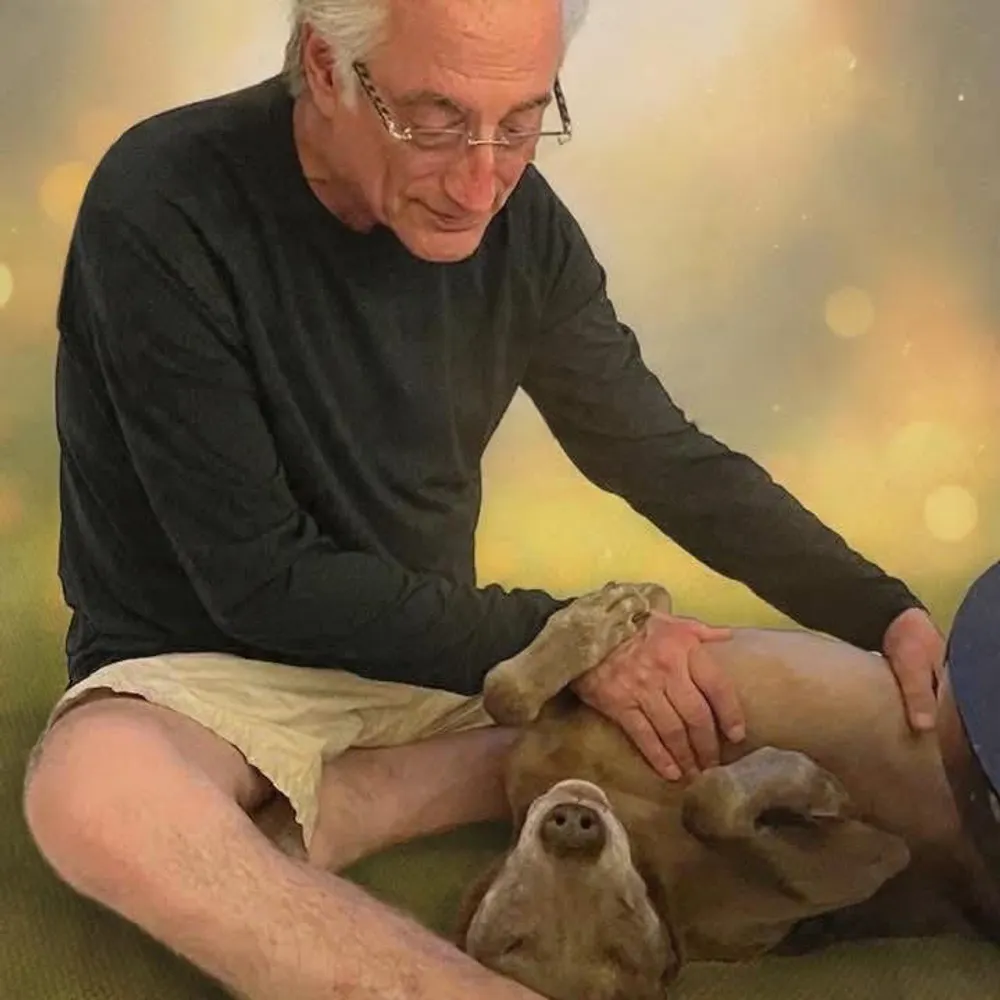 markharris1.bsky.social's profile picture