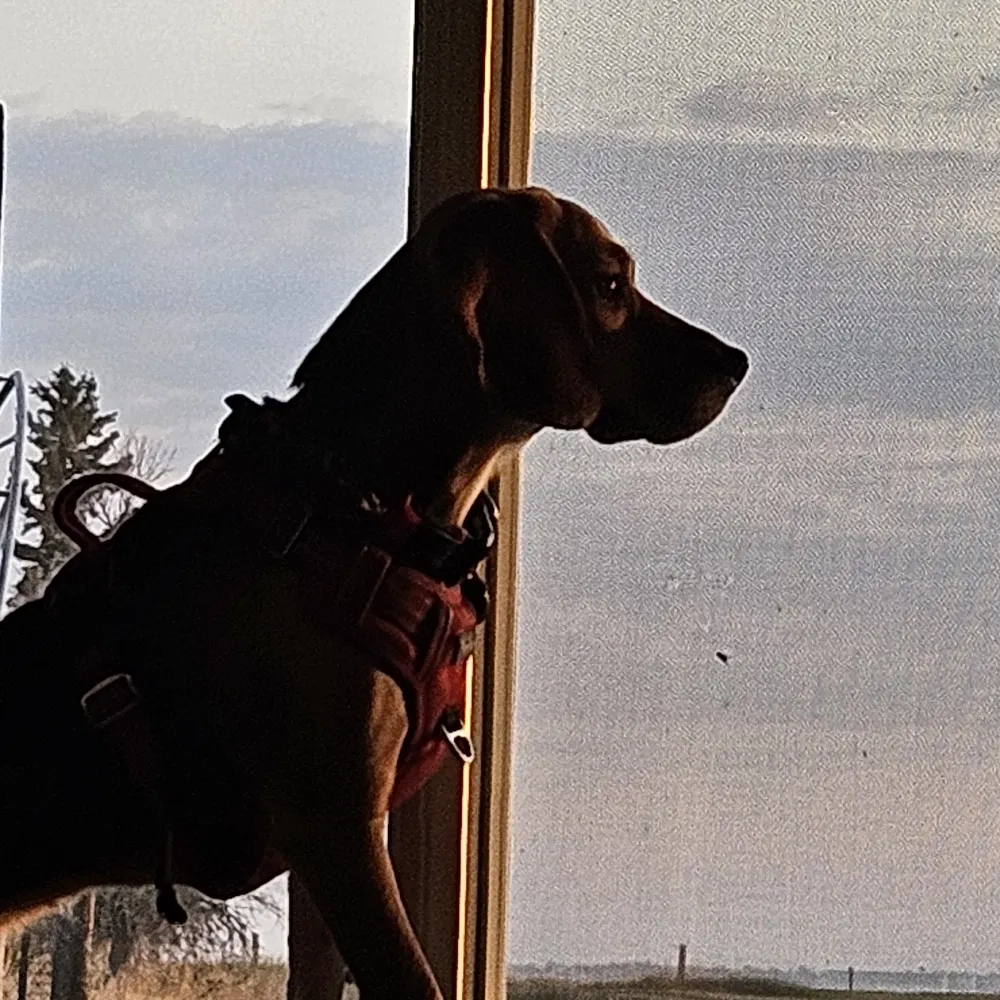 lilaugusta.bsky.social's profile picture