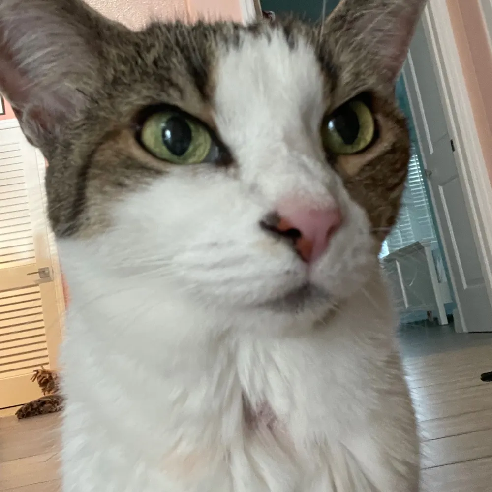 bermudababe76.bsky.social's profile picture