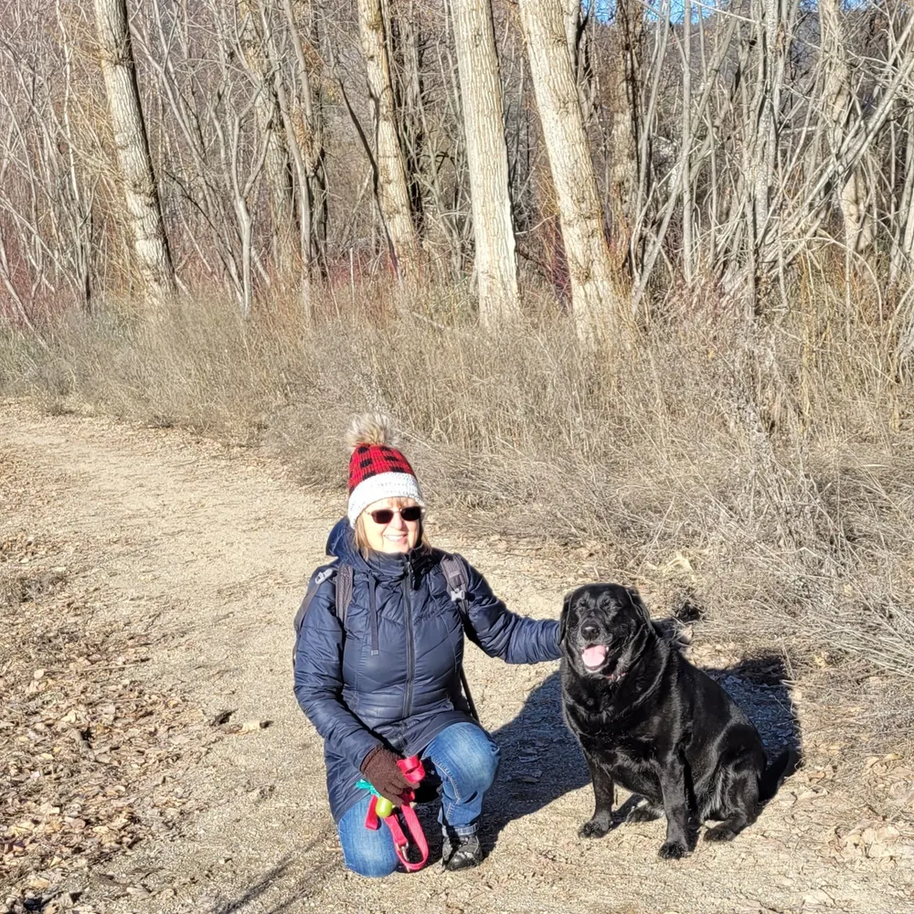 thebestucan.bsky.social's profile picture