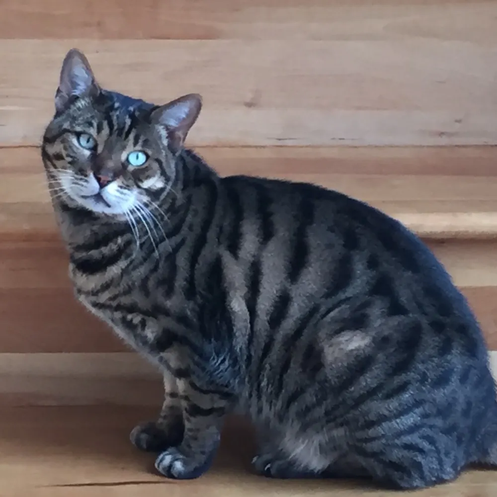 parkcitysnowflake.bsky.social's profile picture