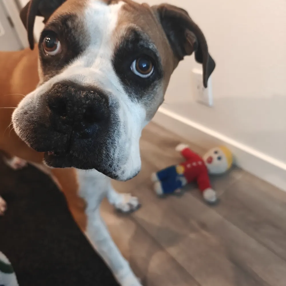 markmahoney4497.bsky.social's profile picture