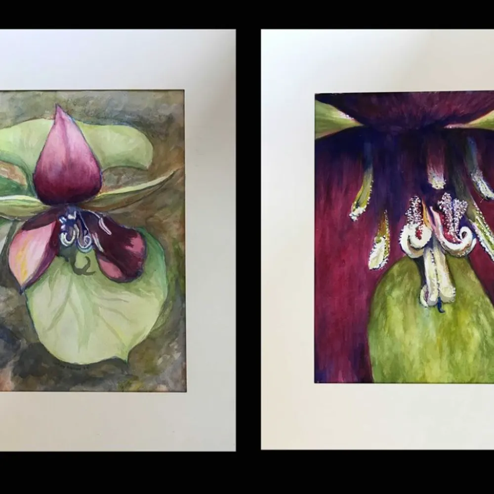 cathywantspeace.bsky.social's profile picture