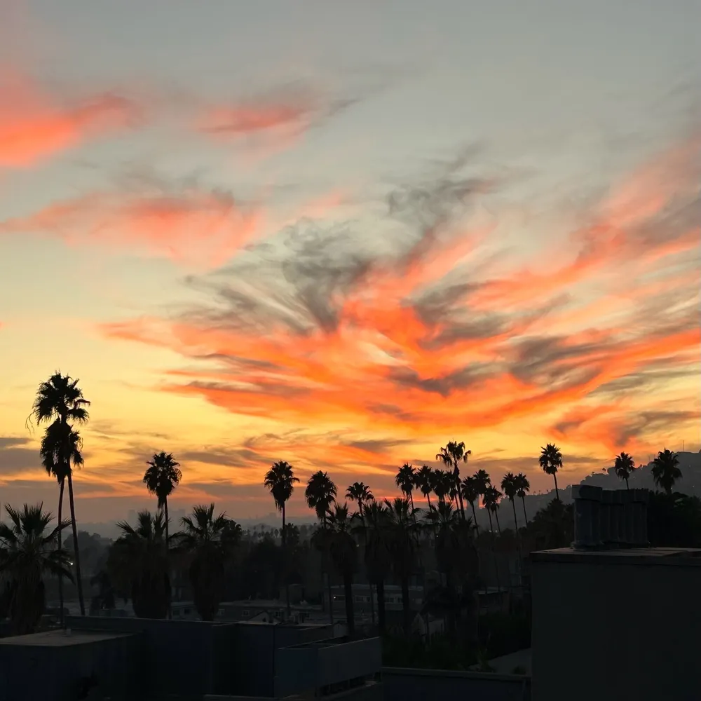 la-denizen.bsky.social's profile picture