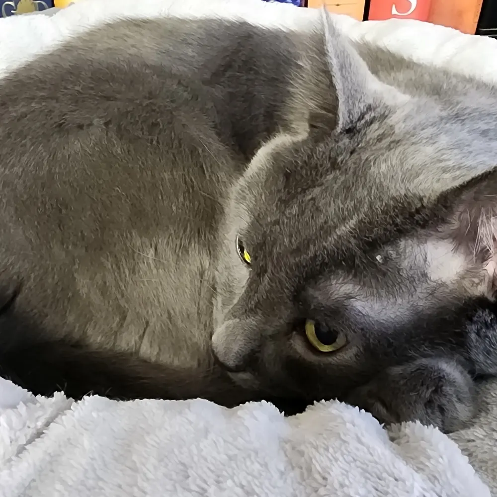 briscoe9.bsky.social's profile picture