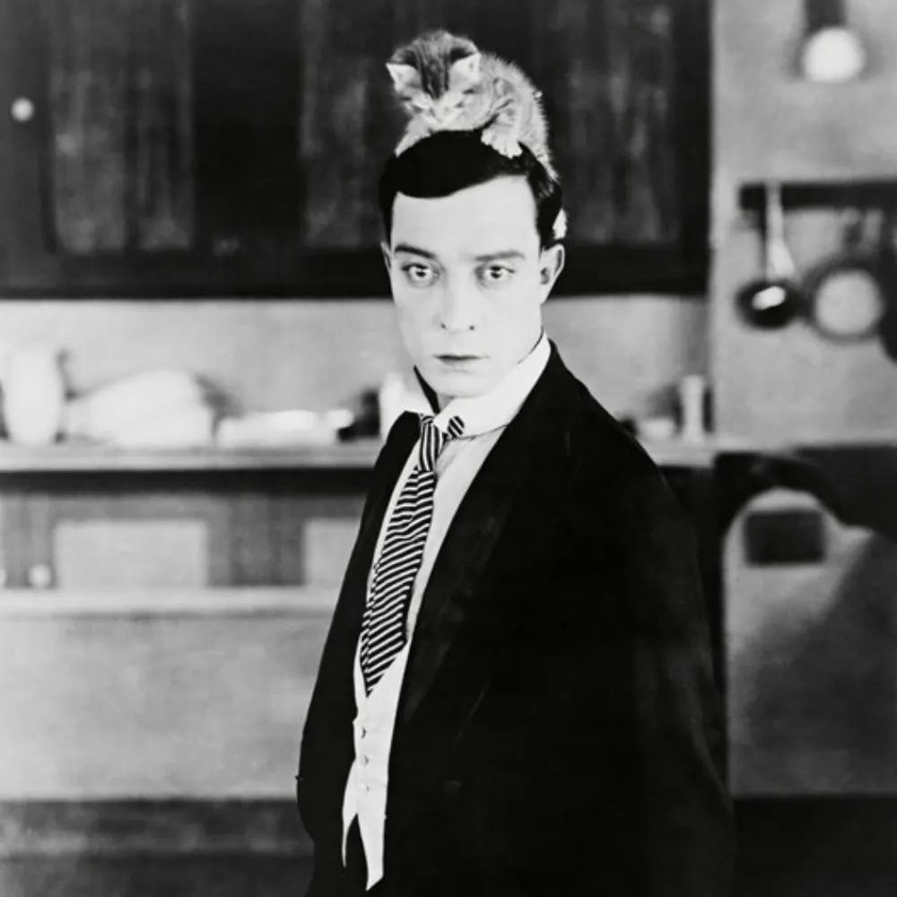 tgreywolfe1.bsky.social's profile picture