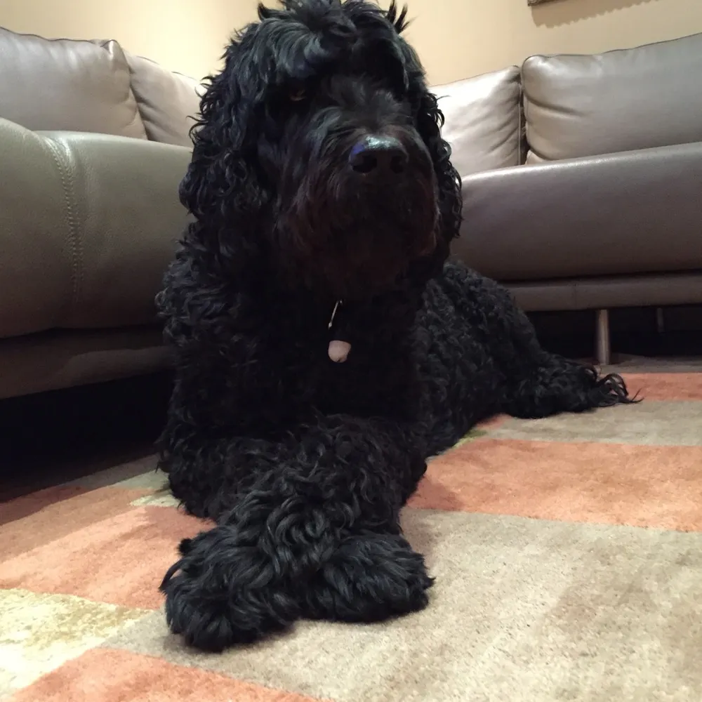 jhalp2.bsky.social's profile picture