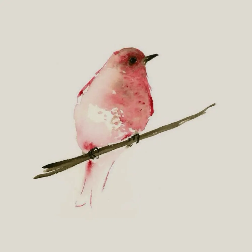 twinsfan81.bsky.social's profile picture