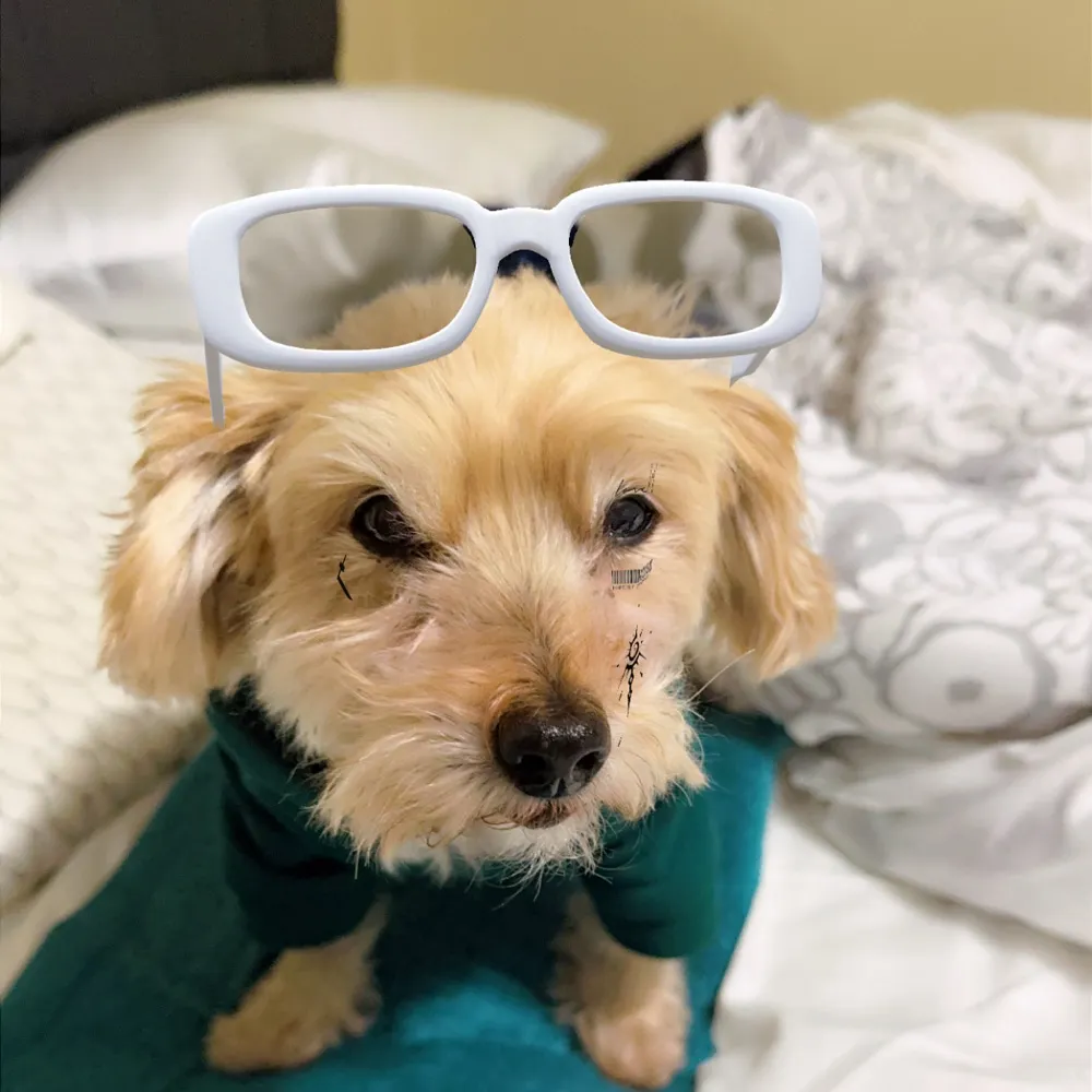 carlsonjf.bsky.social's profile picture