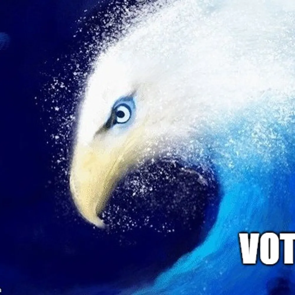 bluefreedomquest.bsky.social's profile picture