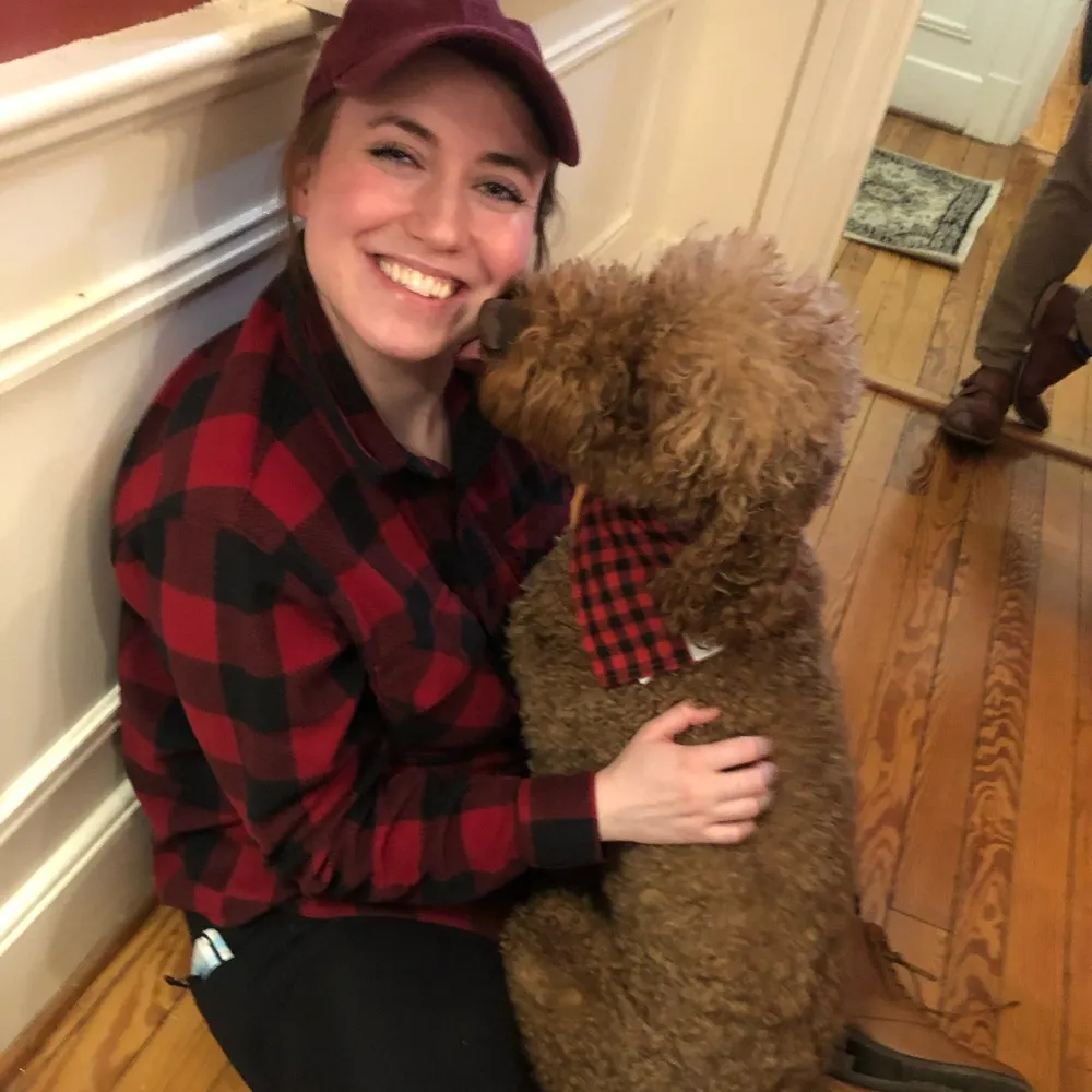 hannahwheel.bsky.social's profile picture