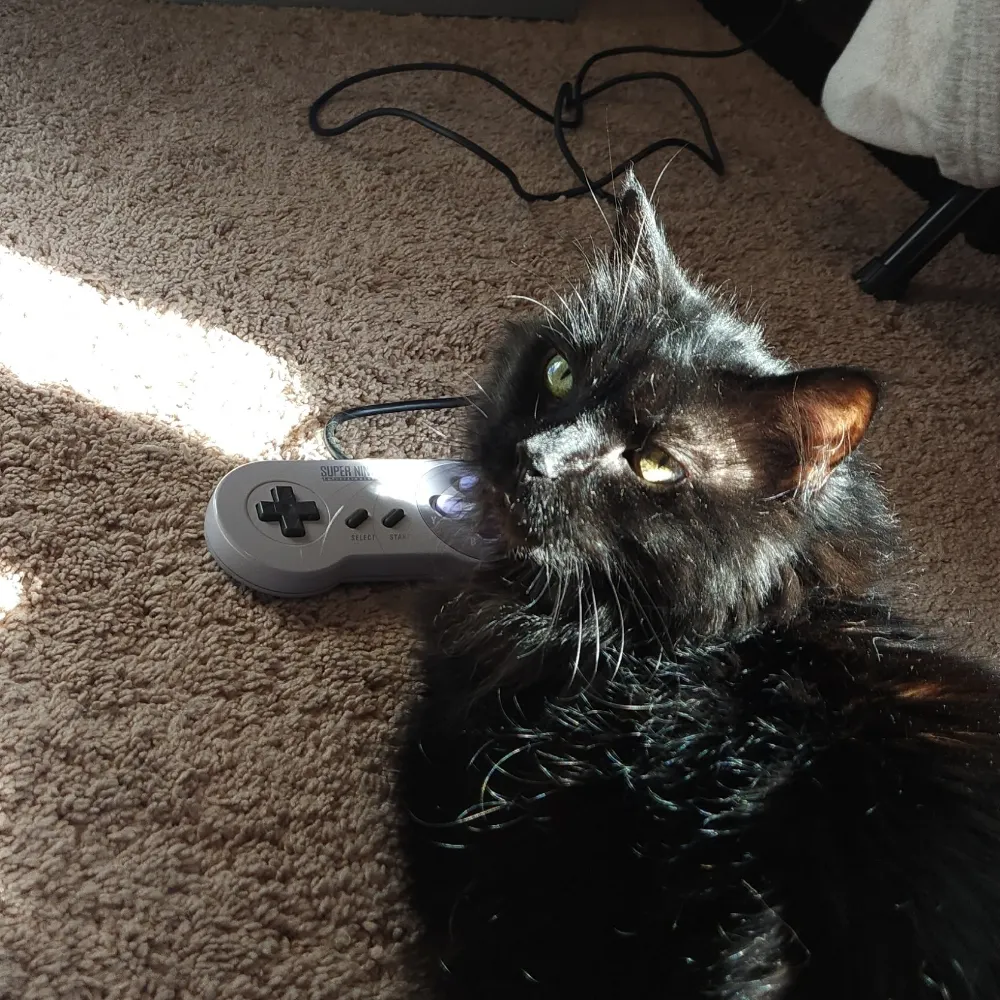 j-merc23.bsky.social's profile picture