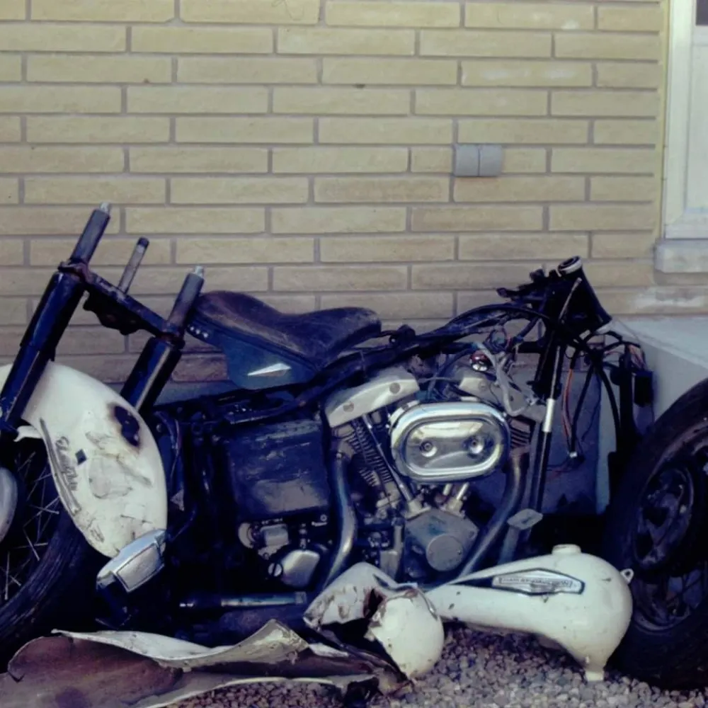 zigzaggreen.bsky.social's profile picture