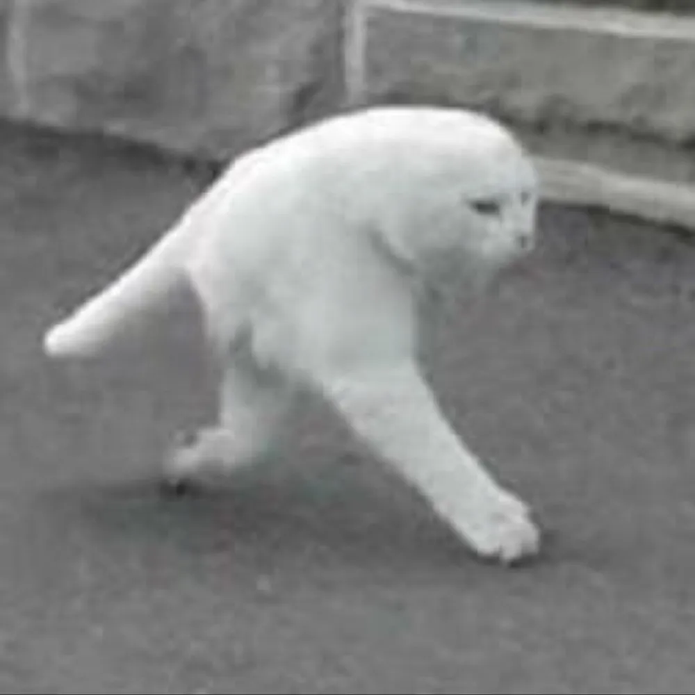 glaucousness.bsky.social's profile picture