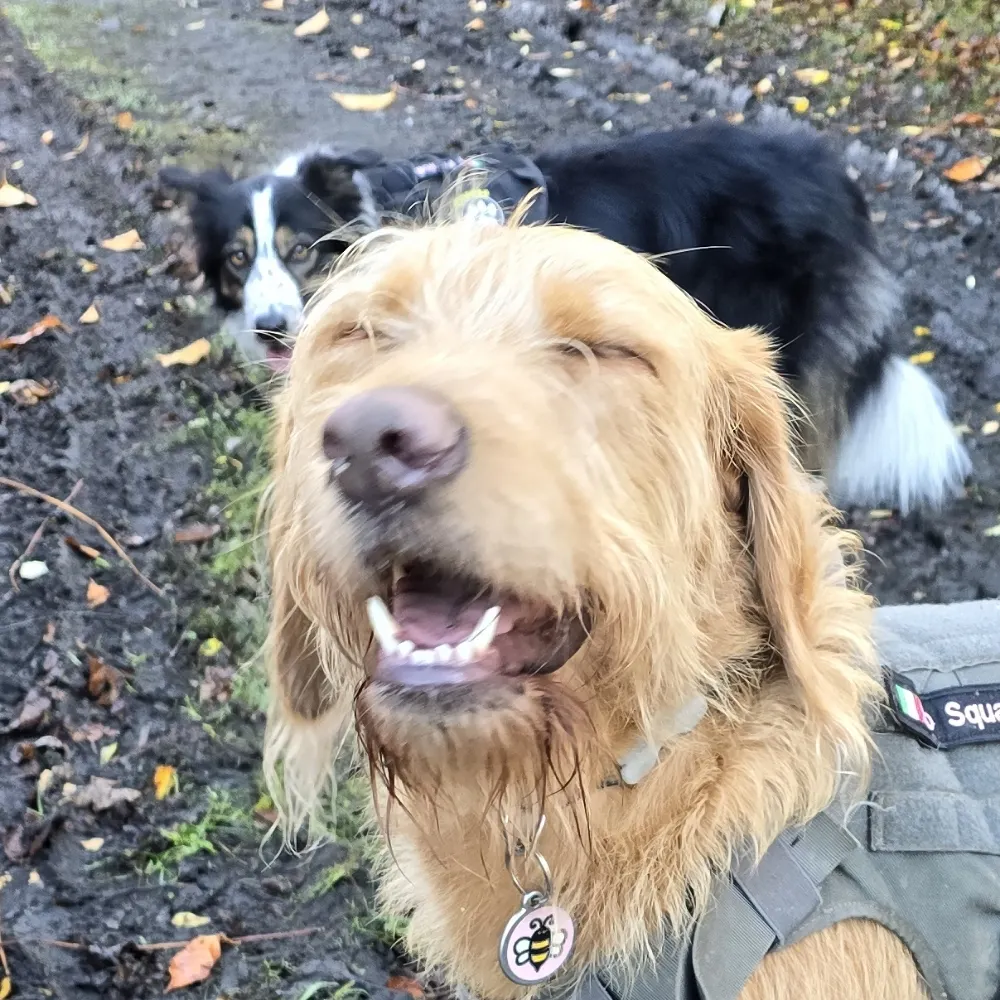 dangervince.bsky.social's profile picture