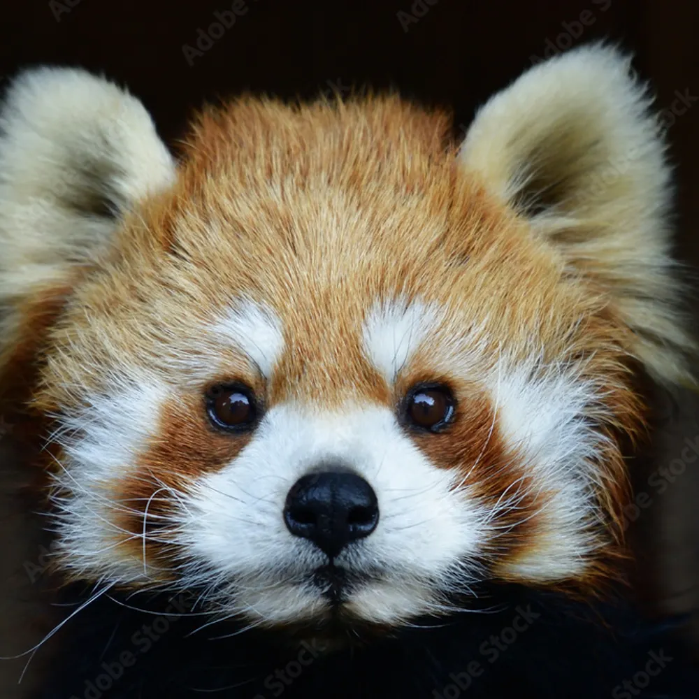 granuailynn.bsky.social's profile picture