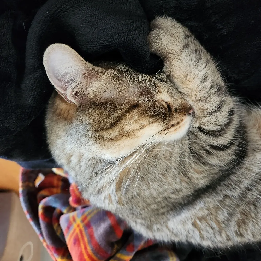 zealotconvert.bsky.social's profile picture