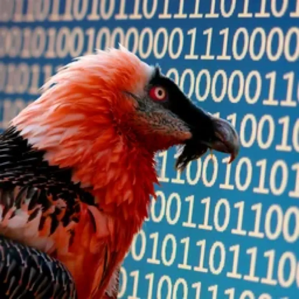 metavulture.com's profile picture