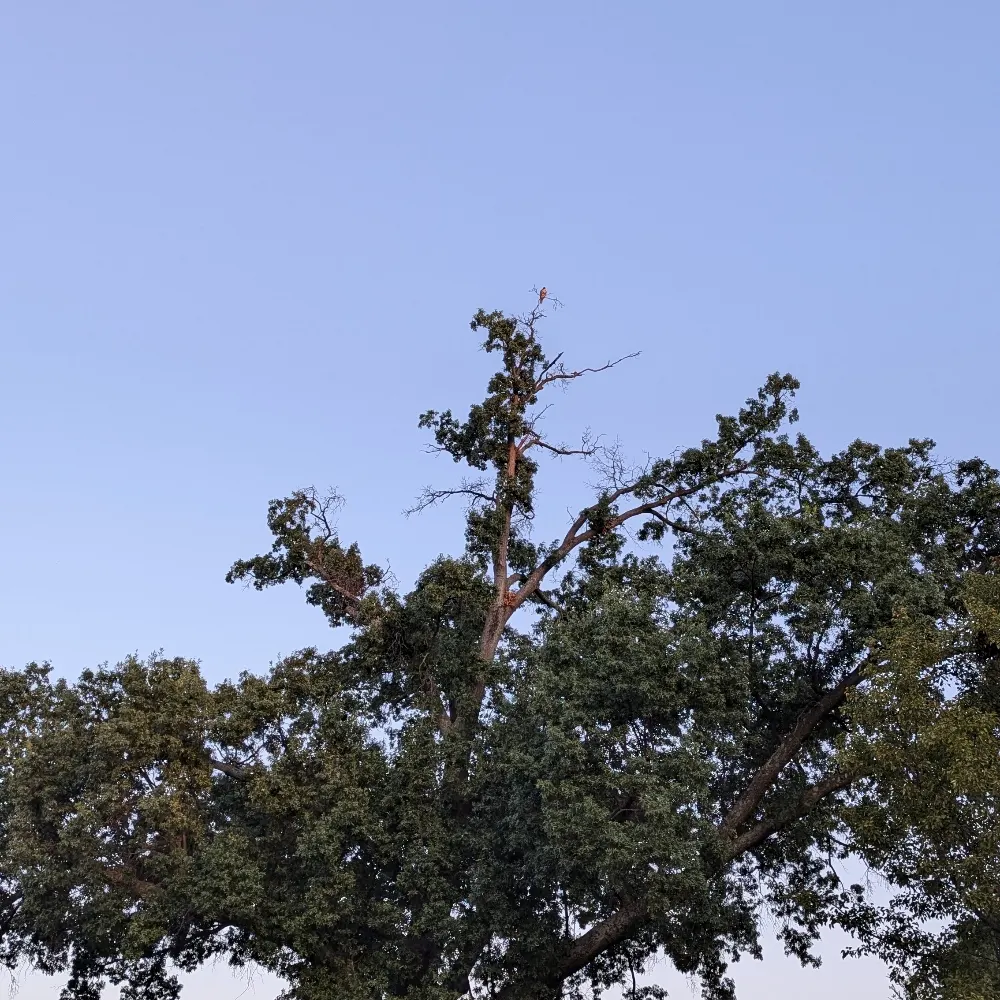 zarathustra79.bsky.social's profile picture