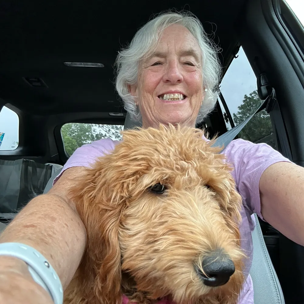 dogmom33.bsky.social's profile picture