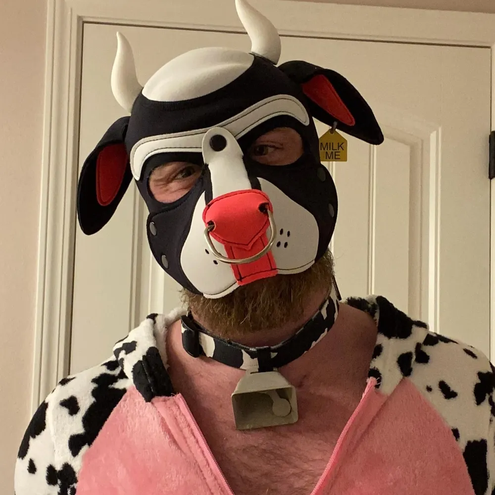 cowboity.bsky.social's profile picture