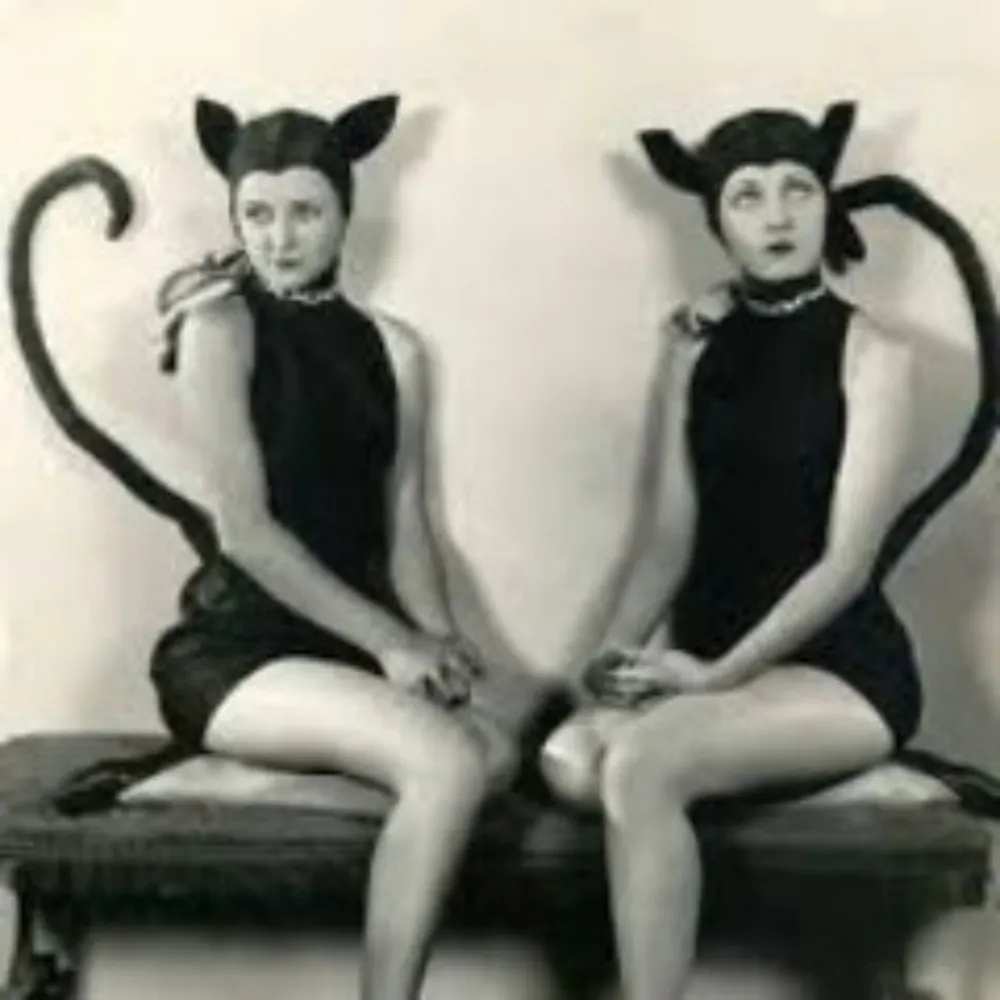 clc1905.bsky.social's profile picture