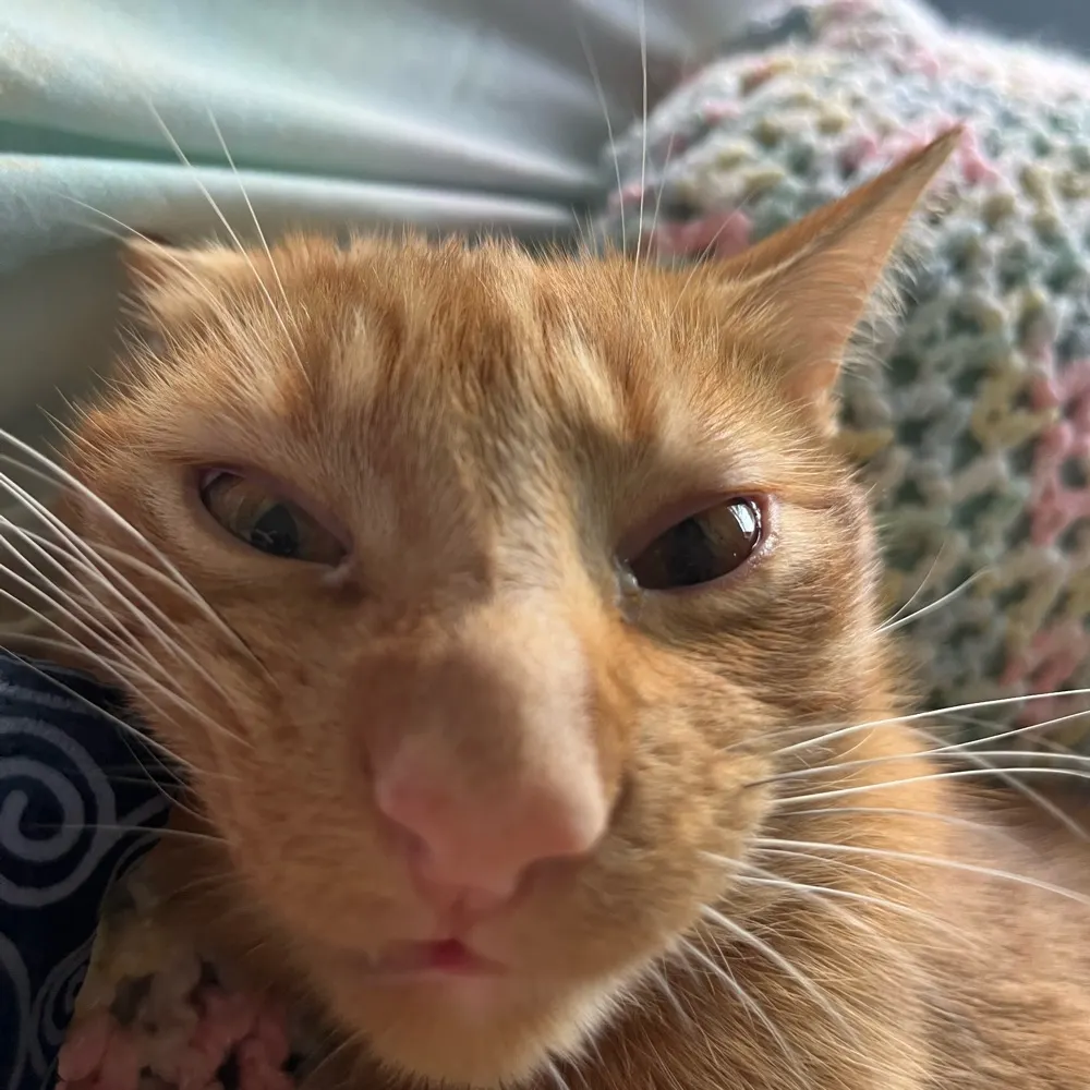 ckeller141.bsky.social's profile picture