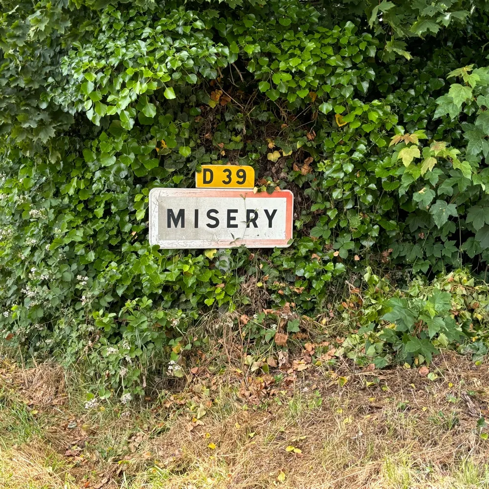 equineducklings.bsky.social's profile picture