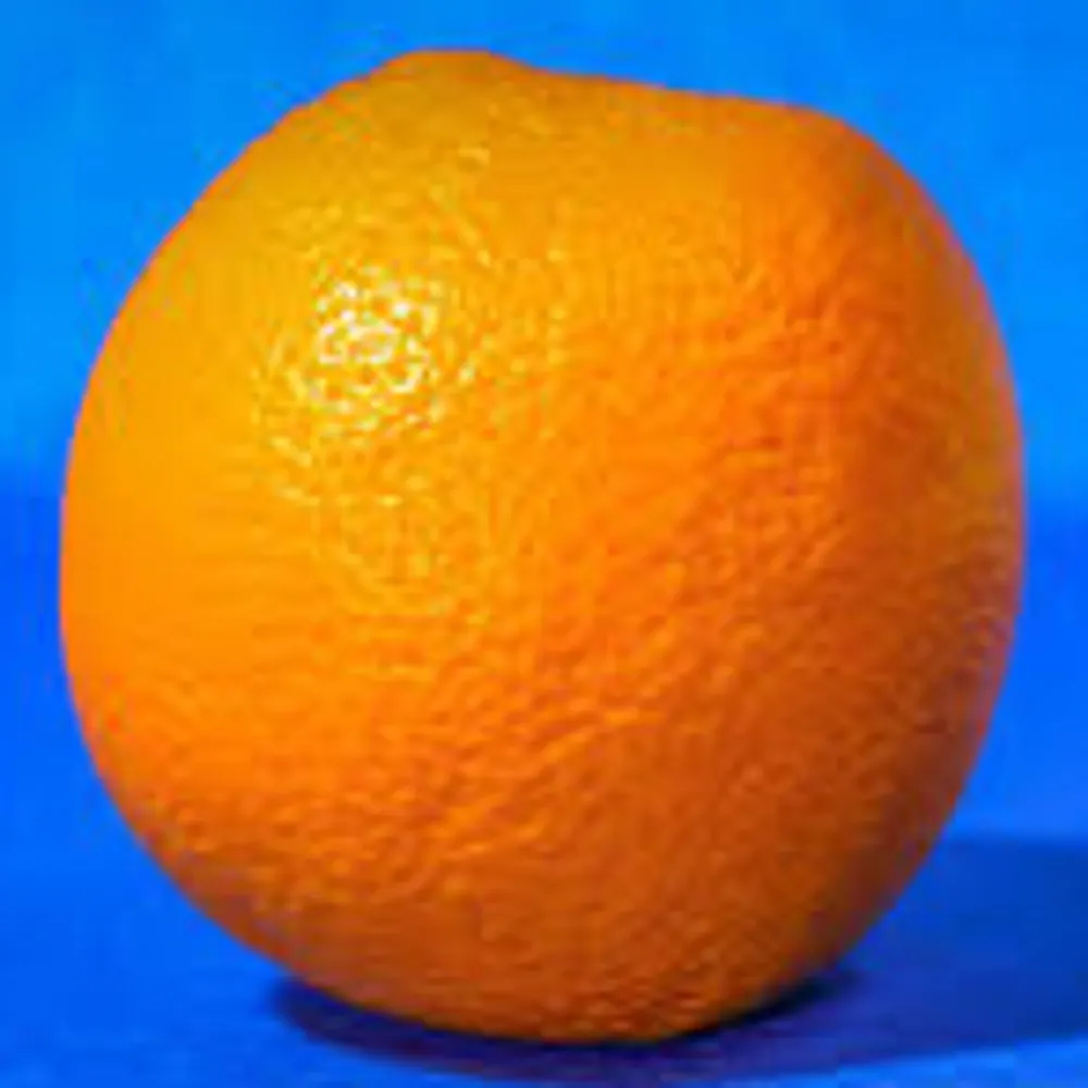 wonderfuljoey23.bsky.social's profile picture