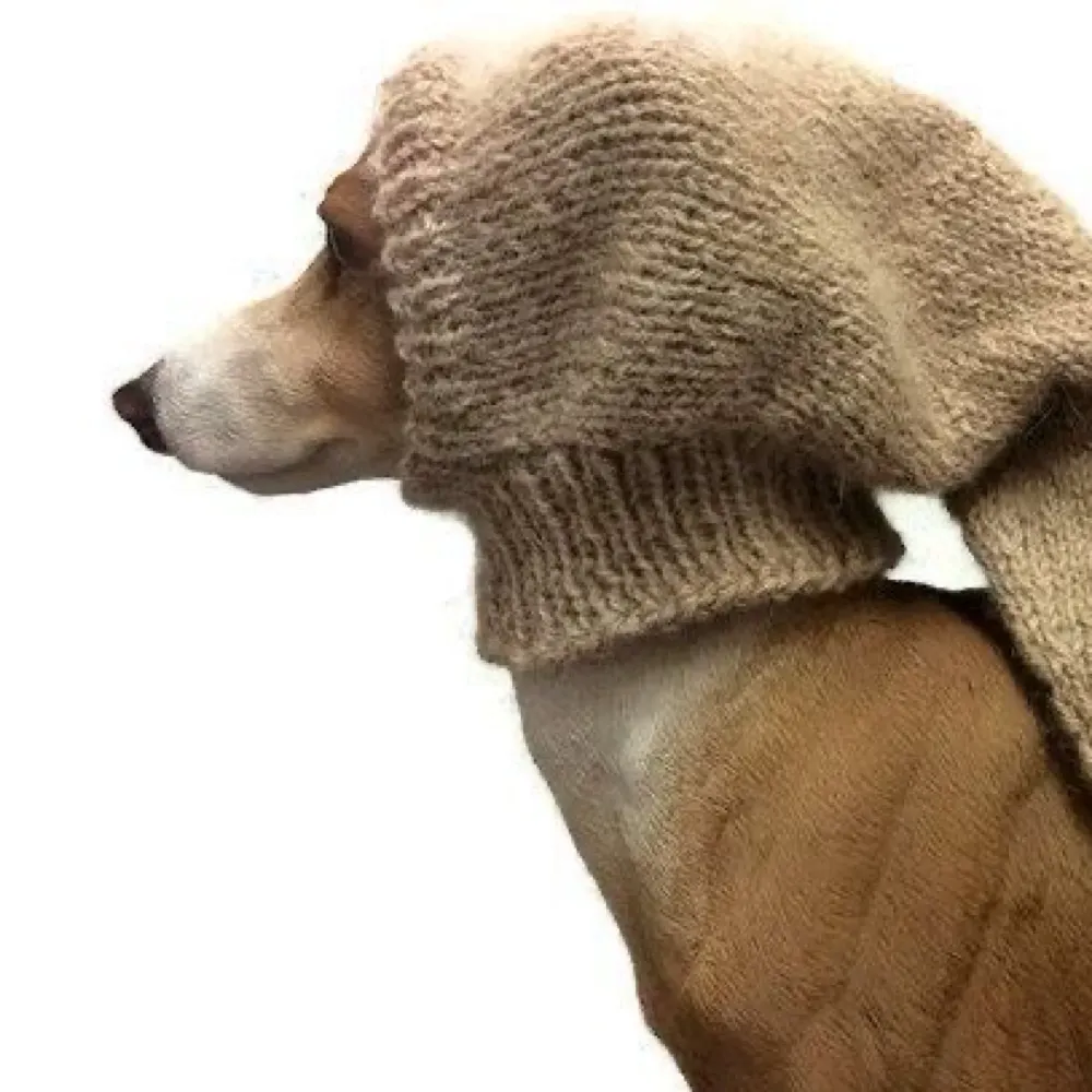 dolocostacos.bsky.social's profile picture