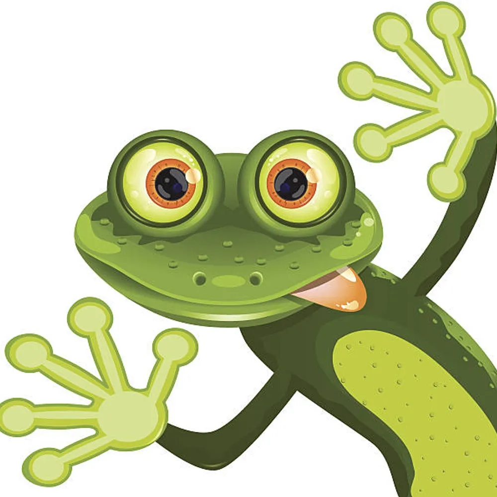 p-phrog.bsky.social's profile picture