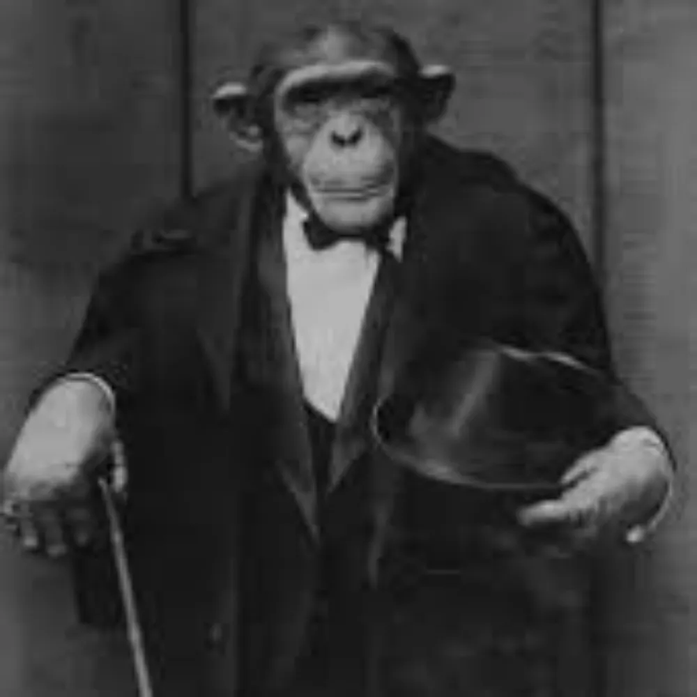 aka-r.bsky.social's profile picture