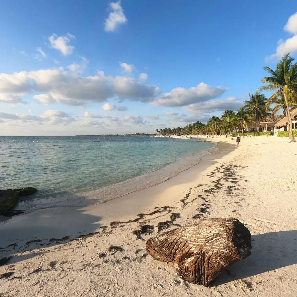 alaskanhusky963.bsky.social's profile picture