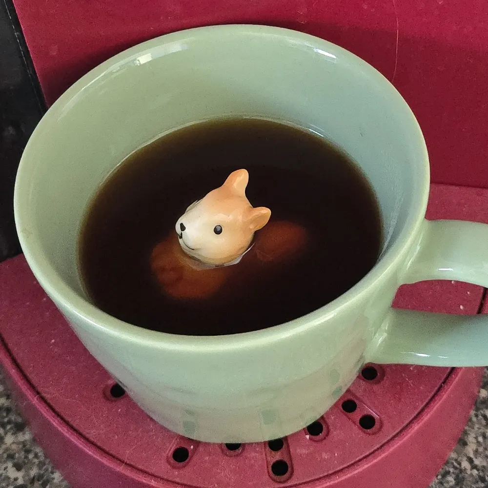 rockyroadec.bsky.social's profile picture