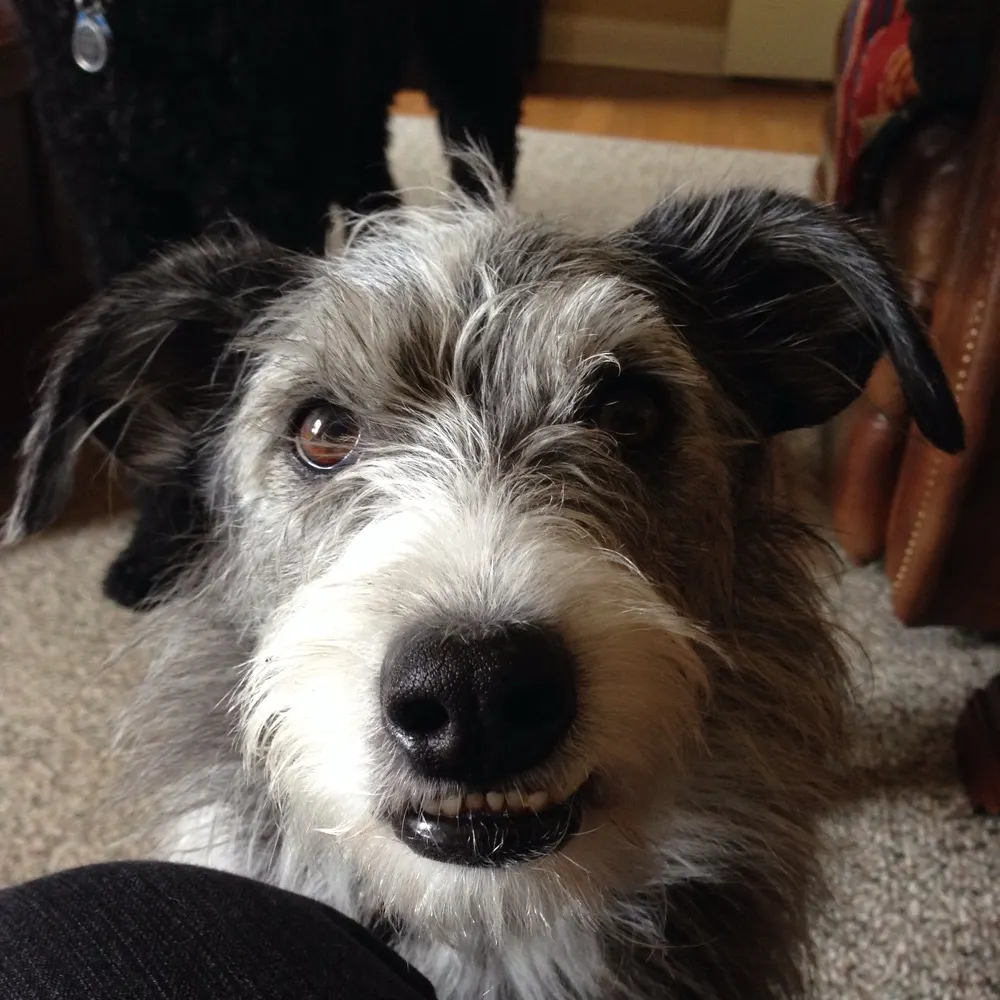 suza27.bsky.social's profile picture