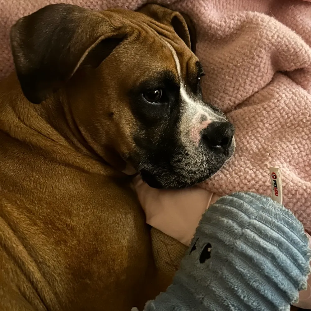 bornfree222.bsky.social's profile picture