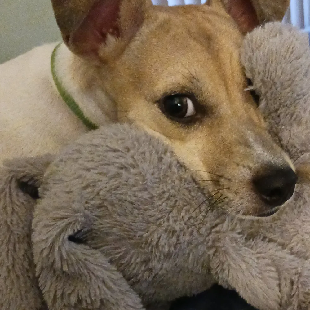 maskup.bsky.social's profile picture