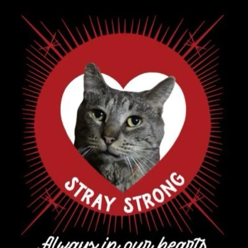 peterrabbitt.bsky.social's profile picture