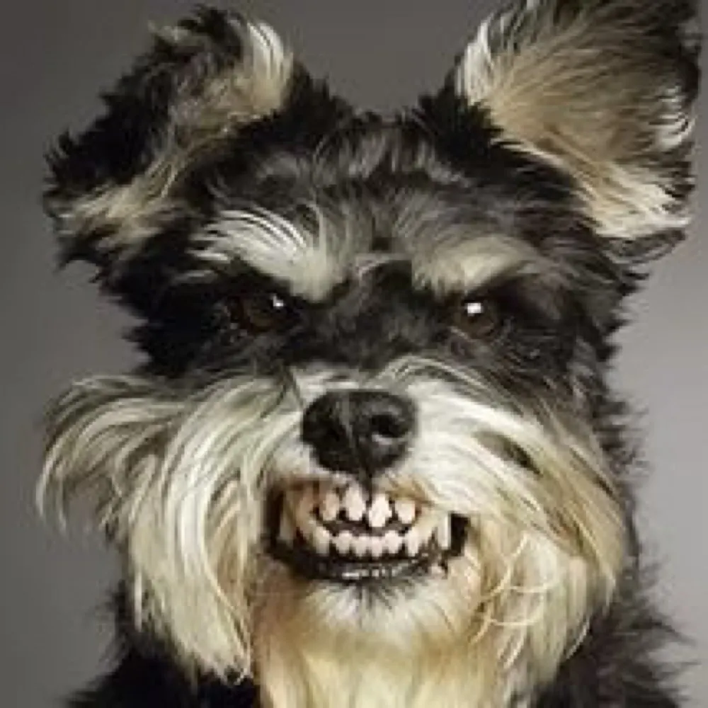 beren40.bsky.social's profile picture