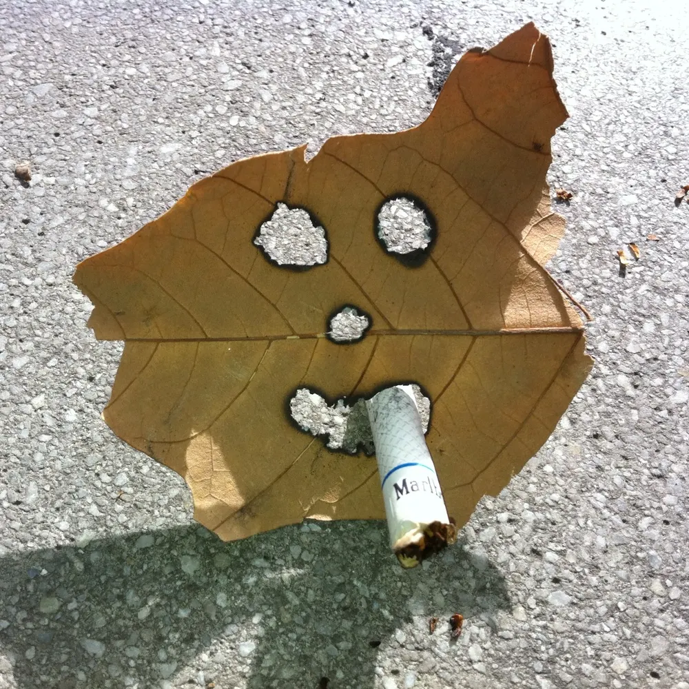 hernan8371.bsky.social's profile picture