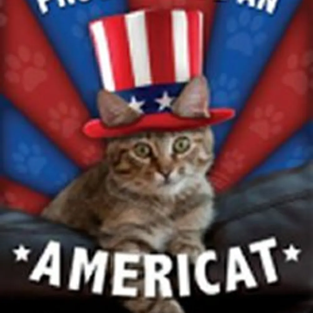 shenda.bsky.social's profile picture