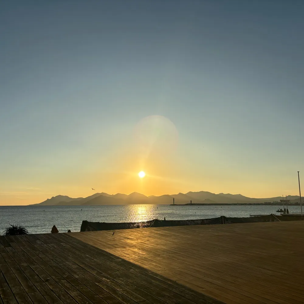 leecle.bsky.social's profile picture