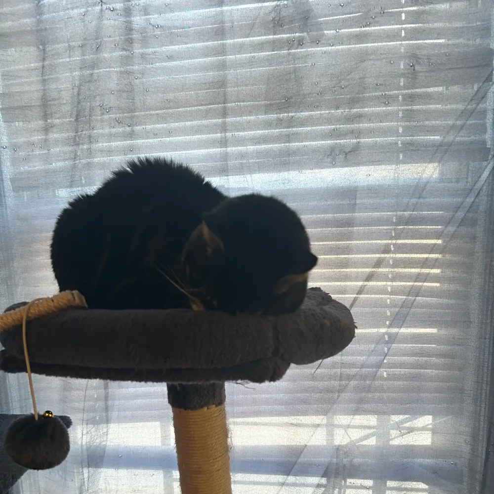 deebraybrook.bsky.social's profile picture