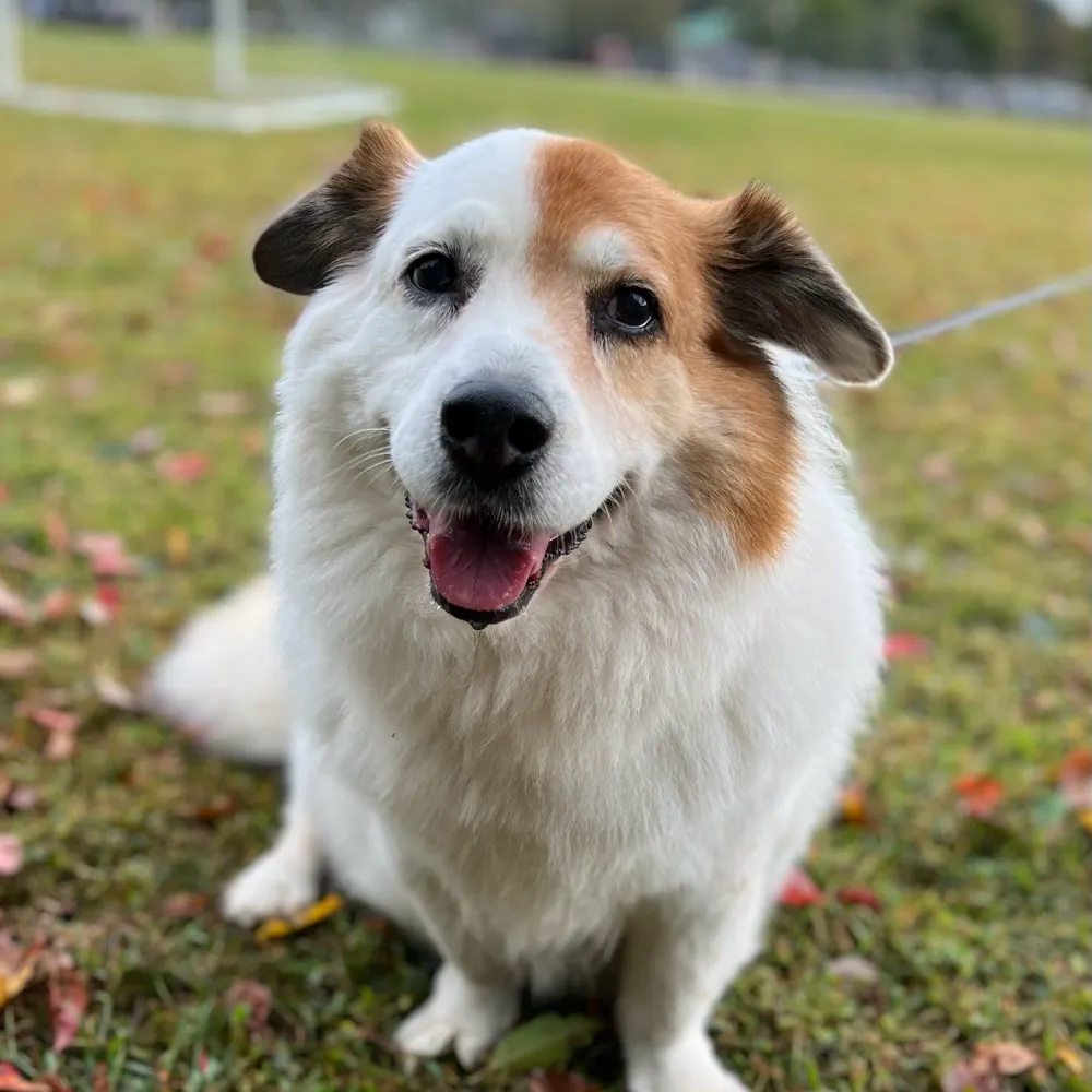 bubblehead29.bsky.social's profile picture