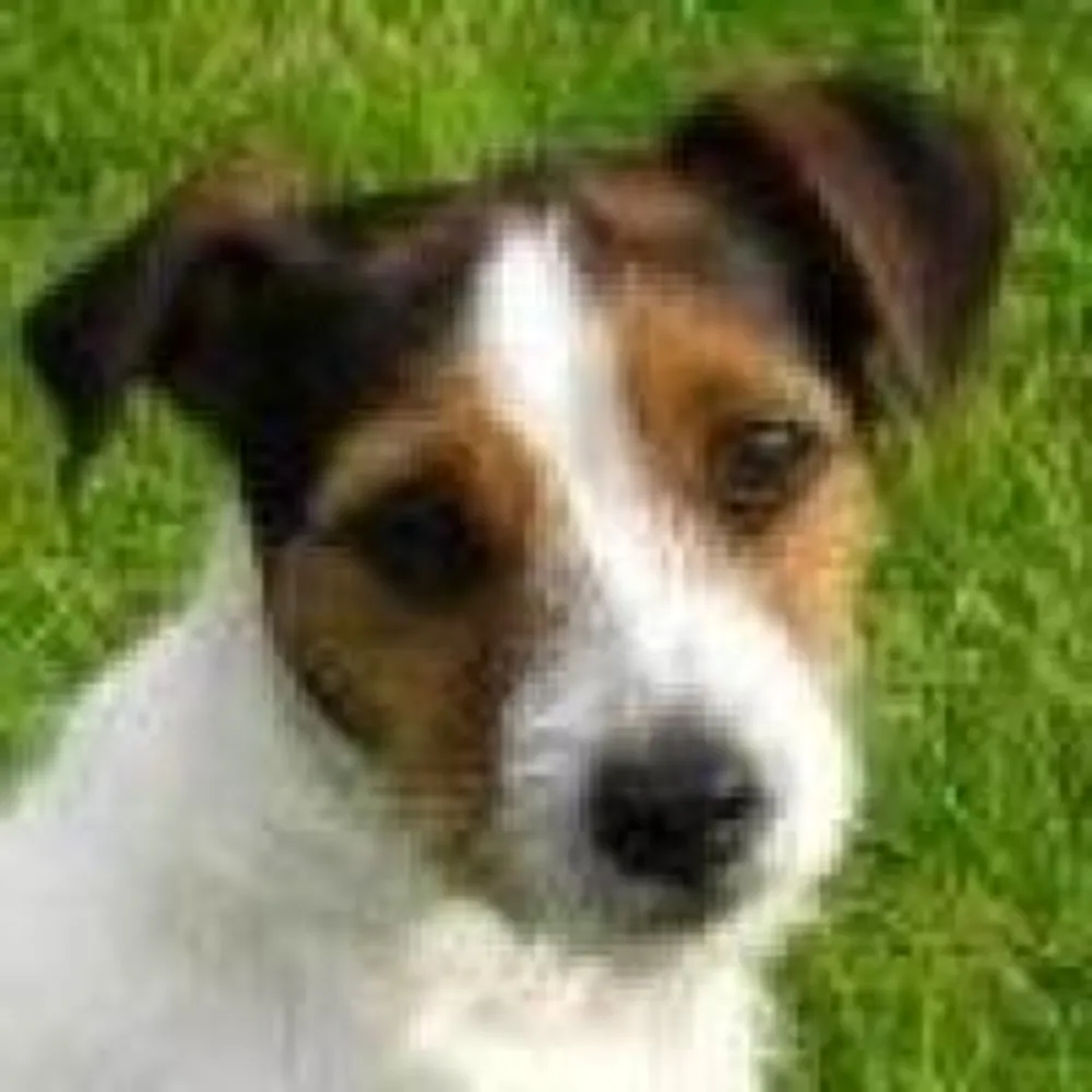 davidb2111.bsky.social's profile picture