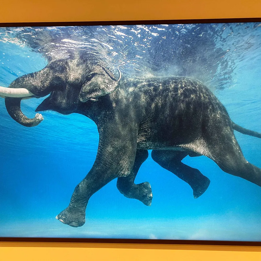 slidermom.bsky.social's profile picture