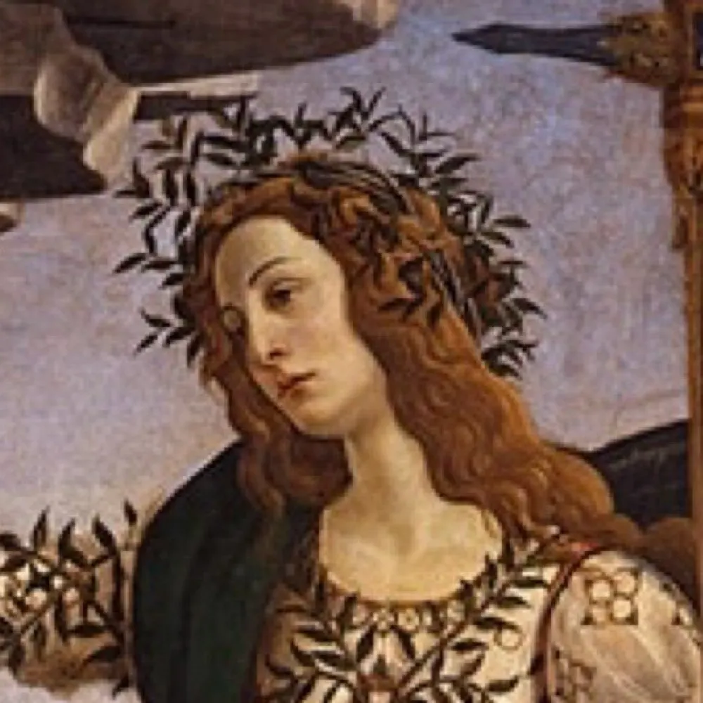 minerva1.bsky.social's profile picture