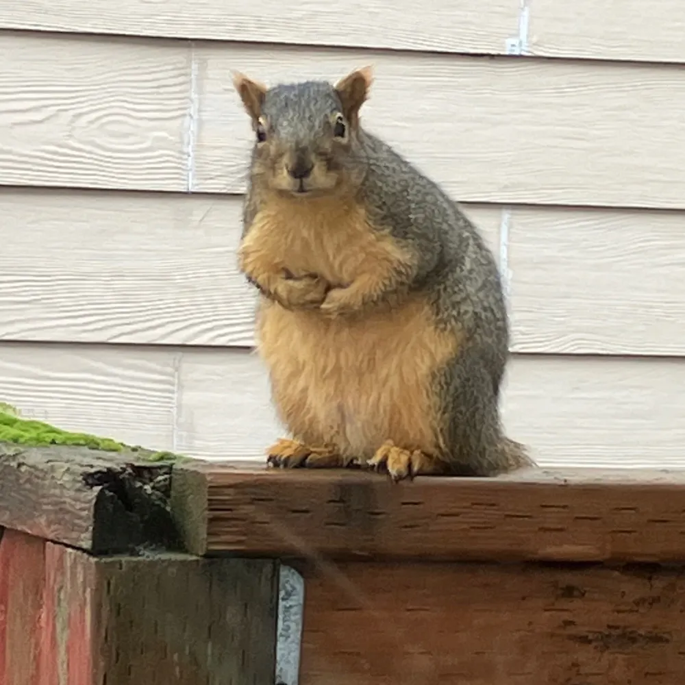 nancyfriel.bsky.social's profile picture